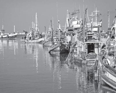 Harbour Memories - Image 5