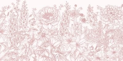 Blushing Meadow - Image 5