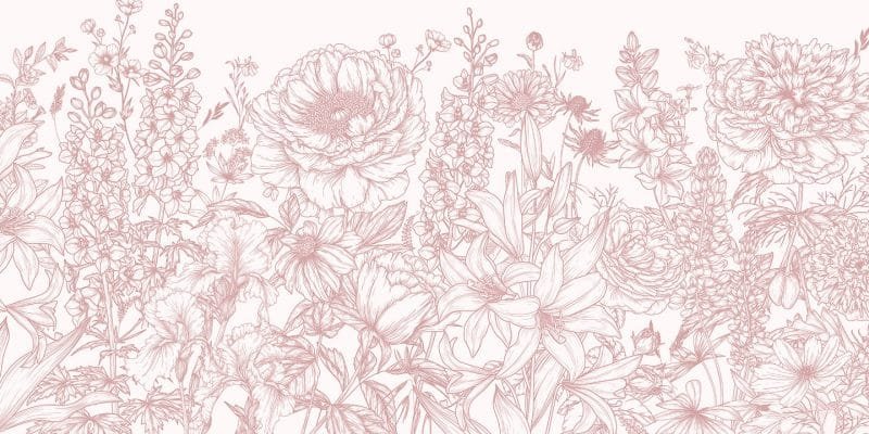 Blushing Meadow - Image 5