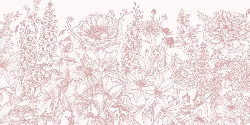 Blushing Meadow - Image 5