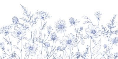 Cerulean Meadow - Image 5