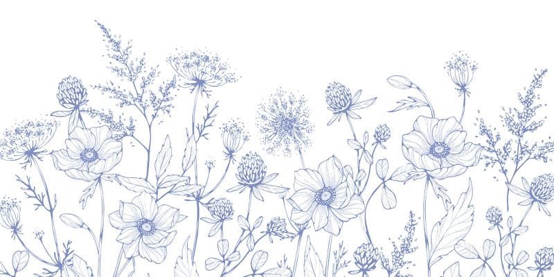 Cerulean Meadow - Image 5