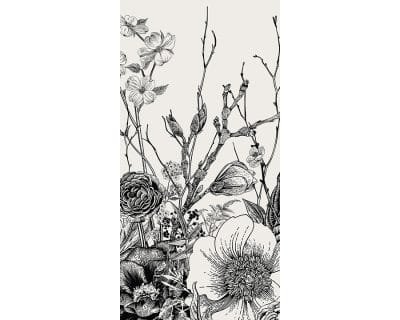 Ebony Petal - Image 5