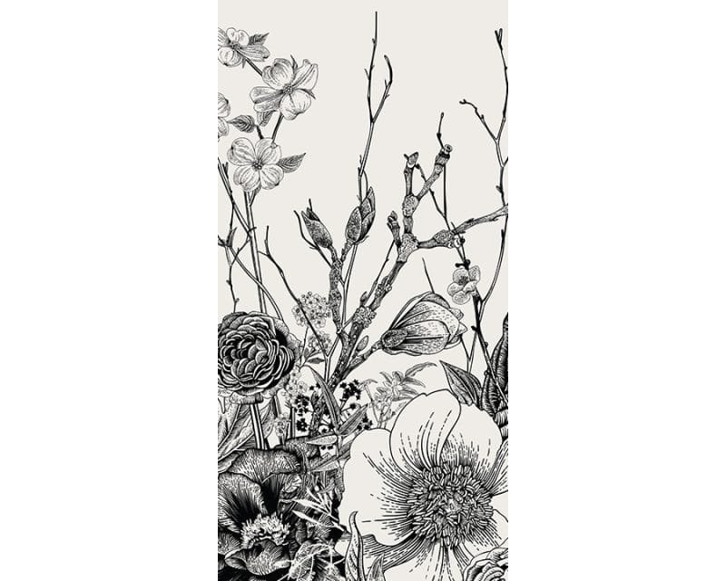 Ebony Petal - Image 5