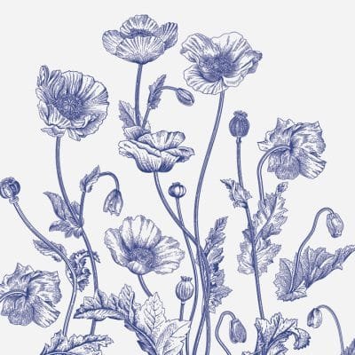 Petal Poetry - Image 5