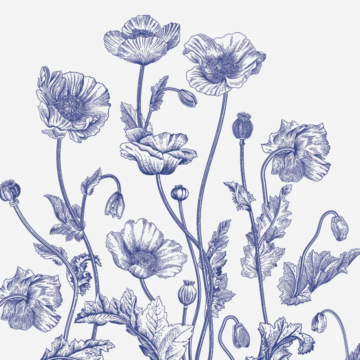 Petal Poetry - Image 5