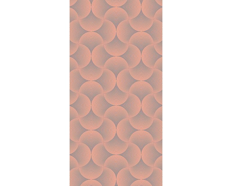 Optic Circles - Image 5