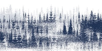 Mystic Woodland - Image 5