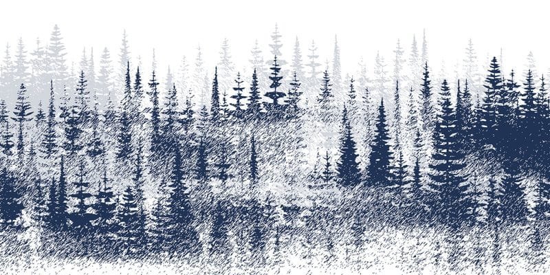 Mystic Woodland - Image 5