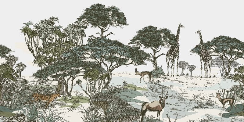 Northern Wilderness - Image 5