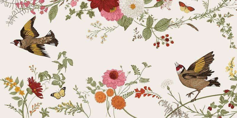 Nature's Canopy - Image 5