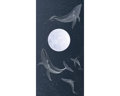 Whale You Be There - Image 5