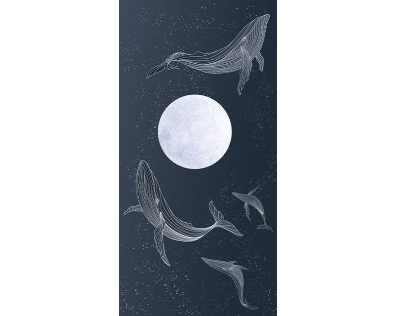 Whale You Be There - Image 5