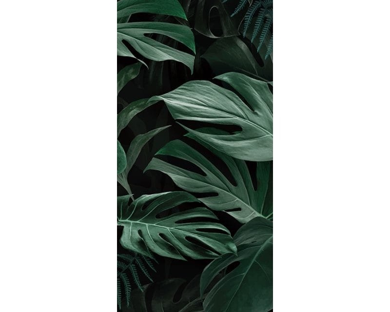 Verdant Shadow - Image 5