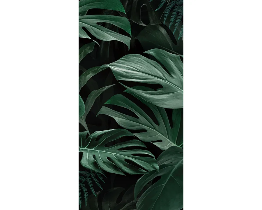 Verdant Shadow - Image 5