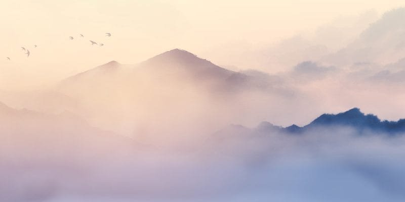 Mountain Mist - Image 5