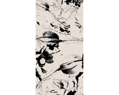 Monochrome Flora - Image 5