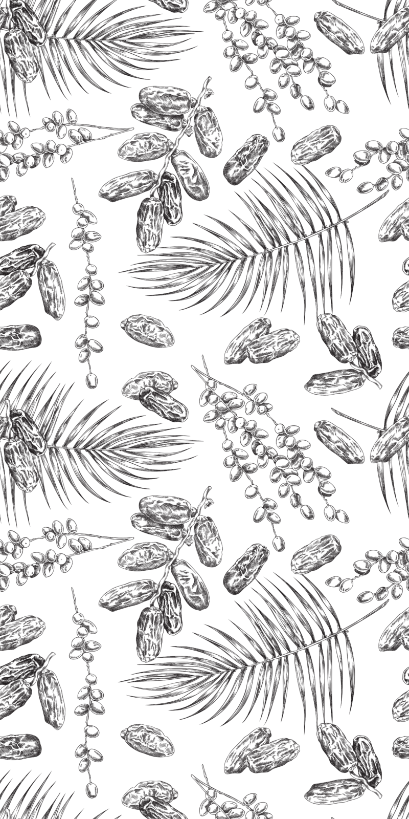 Noor Dates - Image 5