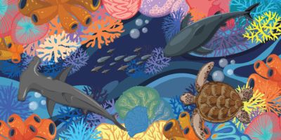 Aqua Bloom - Image 5