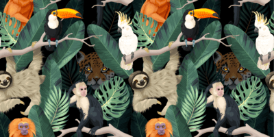 Tropical Eden - Image 5