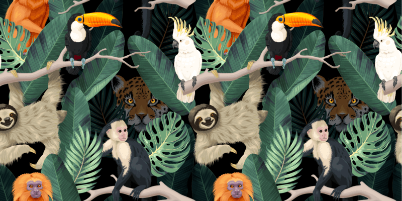 Tropical Eden - Image 5