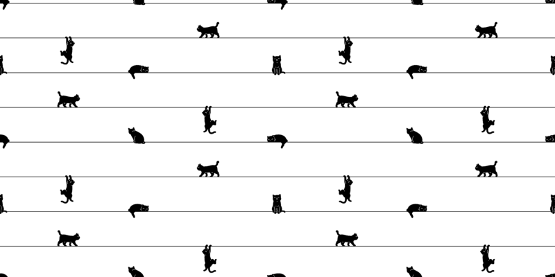 Whisker Walk - Image 5