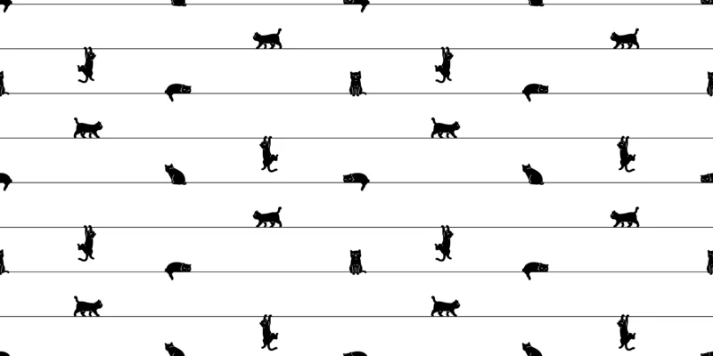 Whisker Walk - Image 5