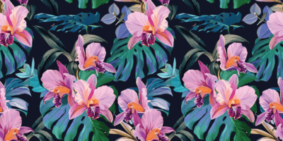 Orchid Ballet - Image 5