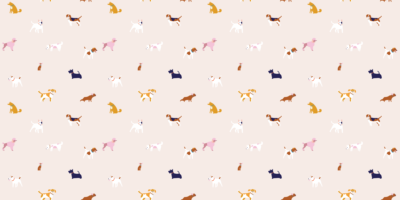 Canine Chic - Image 5