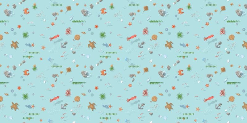 Marine Harmony - Image 5