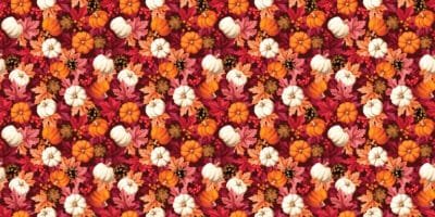 Amber Calm - Image 5