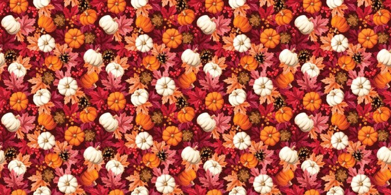 Amber Calm - Image 5