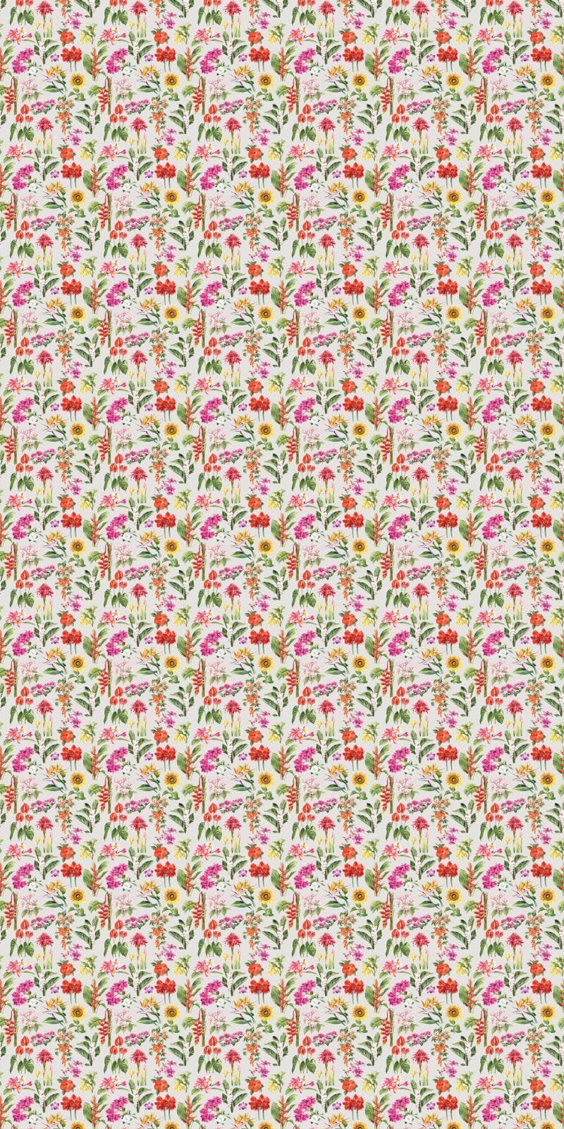 Tropical Flowers - Image 7