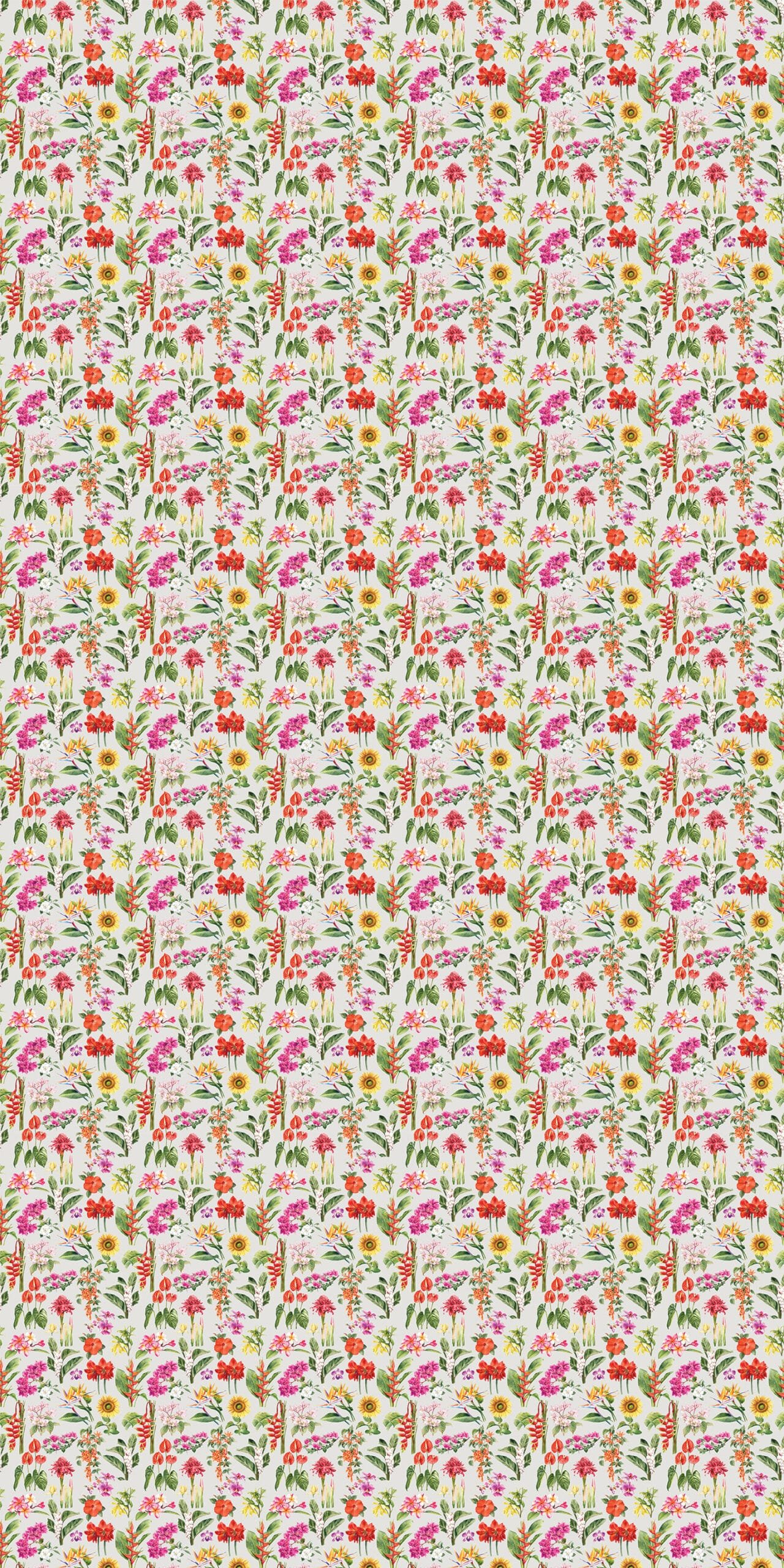 Tropical Flowers - Image 7