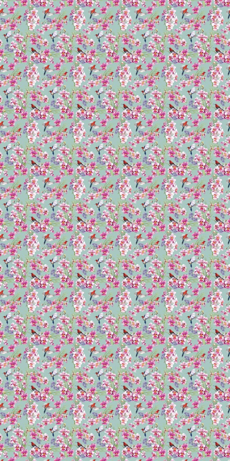 Vanda Miss Joaquim - Image 8