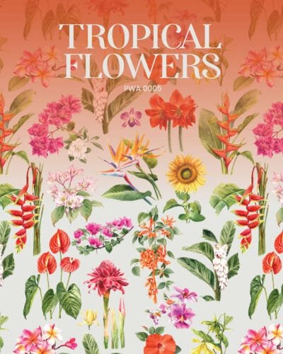 Tropical Flowers - Image 5