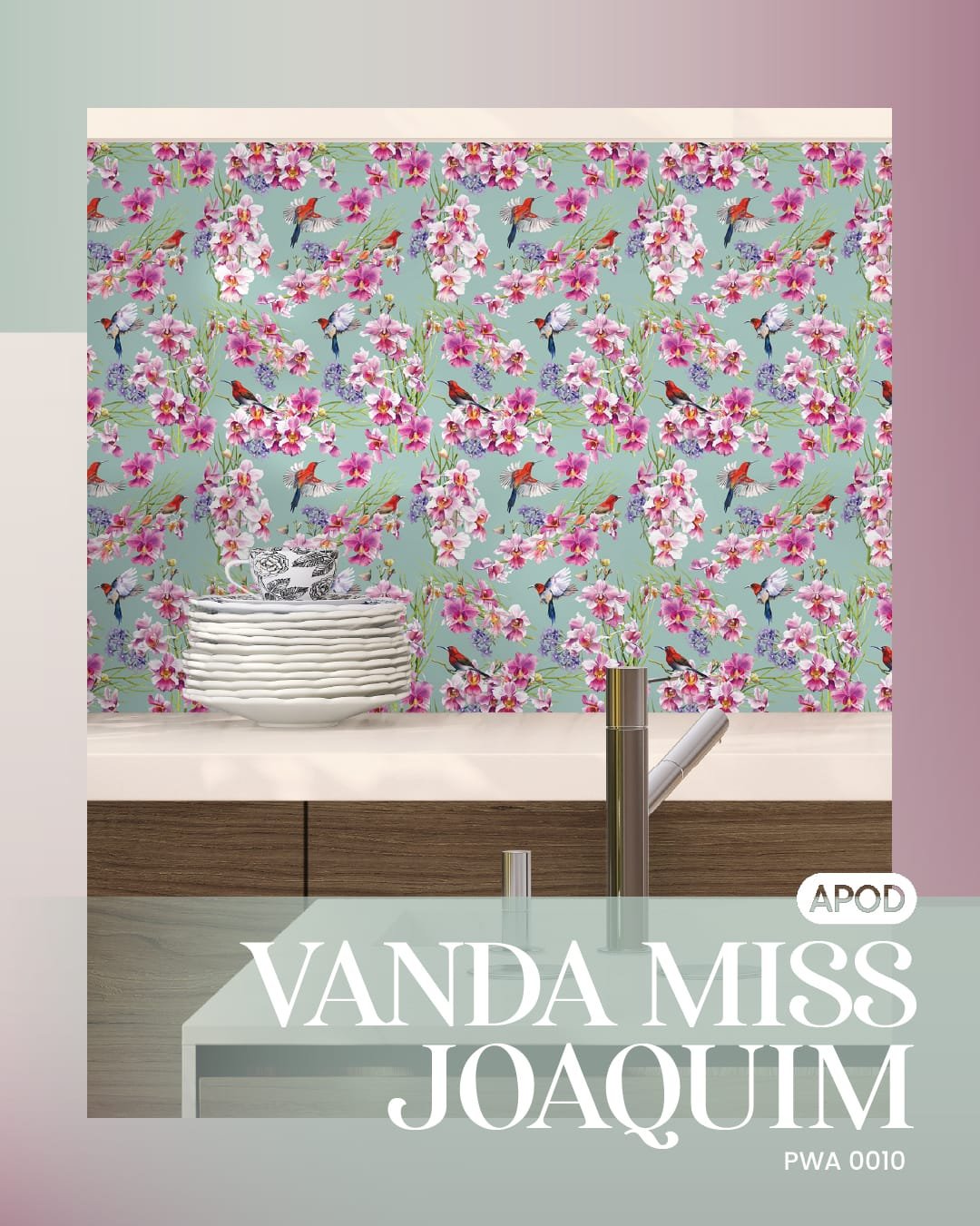 Vanda Miss Joaquim - Image 2