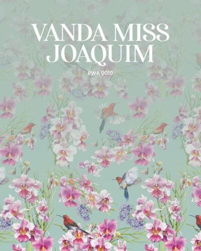 Vanda Miss Joaquim - Image 6
