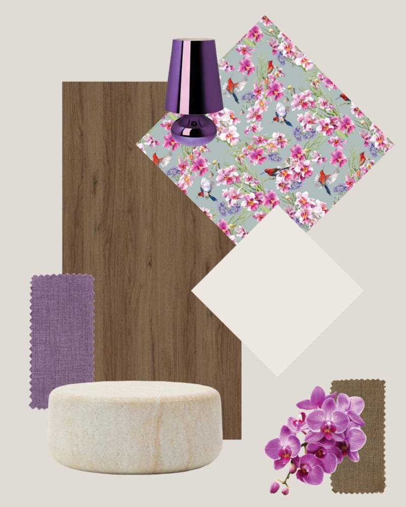 Vanda Miss Joaquim - Image 7